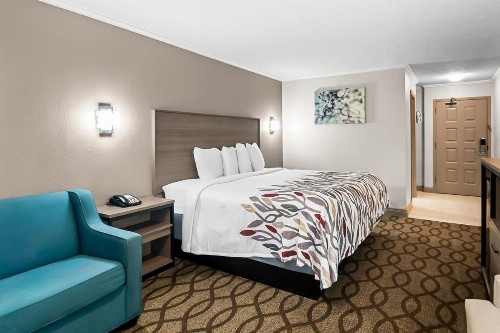 SureStay Plus Hotel by Best Western Lexington - image 33
