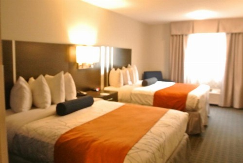 Guesthouse Inn & Suites Lexington - image 11