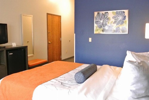 Guesthouse Inn & Suites Lexington - image 13