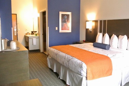 Guesthouse Inn & Suites Lexington - image 2