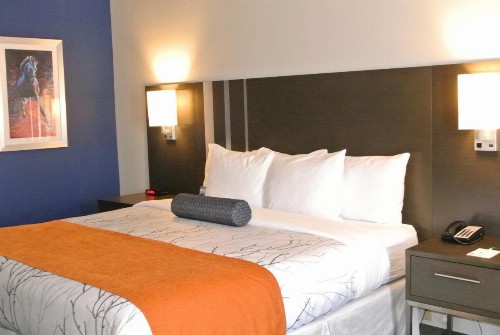 Guesthouse Inn & Suites Lexington - image 25