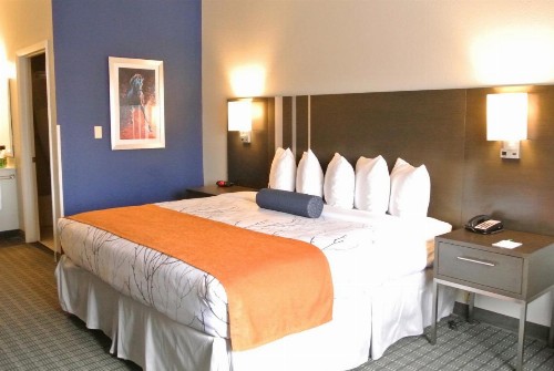 Guesthouse Inn & Suites Lexington - image 31