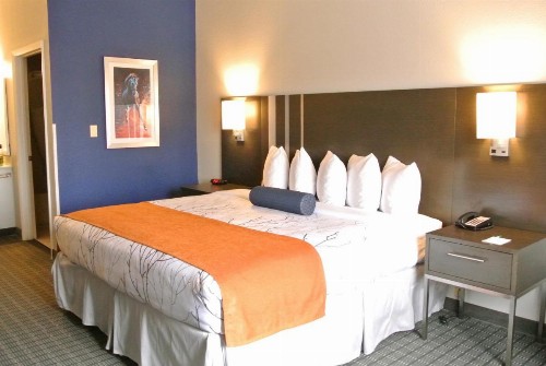 Guesthouse Inn & Suites Lexington - image 39