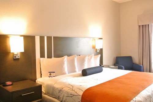 Guesthouse Inn & Suites Lexington - image 4
