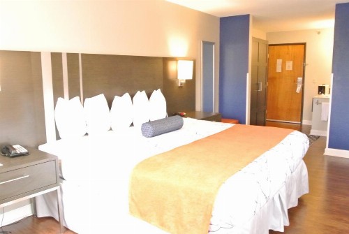 Guesthouse Inn & Suites Lexington - image 41