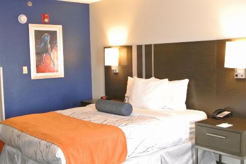 Guesthouse Inn & Suites Lexington - image 7