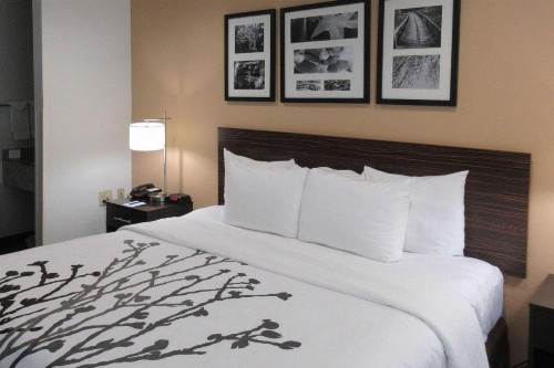Sleep Inn Lexington - image 3