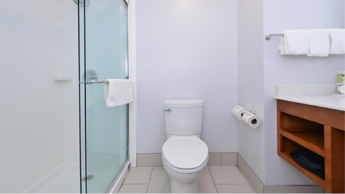 Holiday Inn Express & Suites Lexington Midtown - I-75 an IHG Hotel - image 4