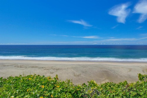 Neptune's Beach - image 8