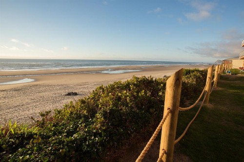 Pelican Shores Inn - image 6