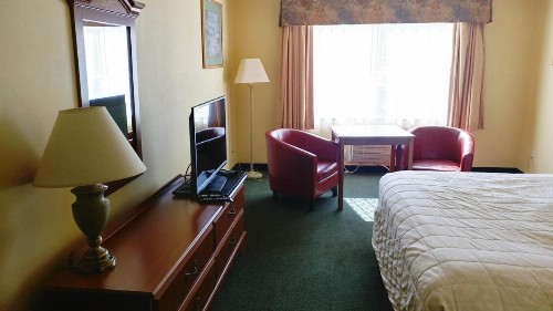 Palace Inn & Suites - image 11