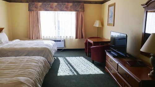 Palace Inn & Suites - image 16