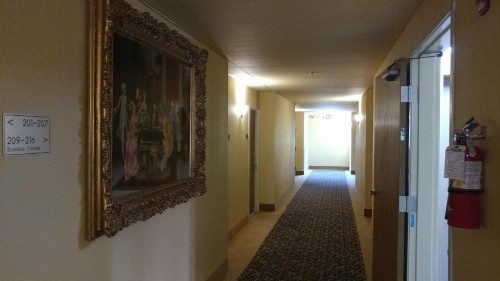 Palace Inn & Suites - image 18