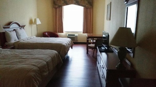 Palace Inn & Suites - image 3