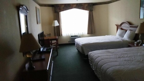 Palace Inn & Suites - image 41