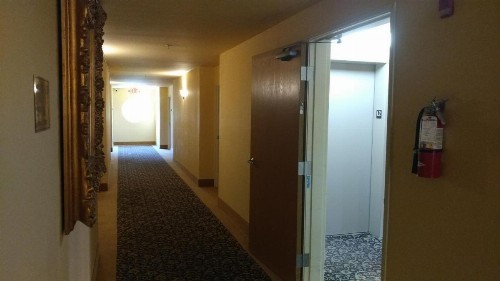 Palace Inn & Suites - image 42