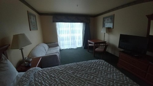 Palace Inn & Suites - image 44