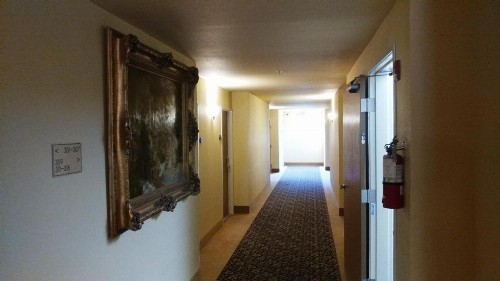 Palace Inn & Suites - image 50