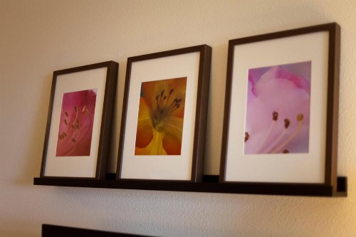 Inn at Wecoma - image 4