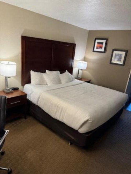 Comfort Inn & Suites Lincoln City - image 24