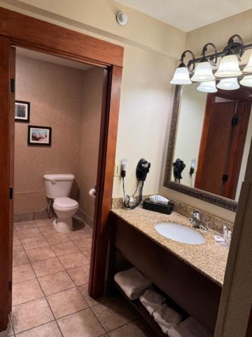 Comfort Inn & Suites Lincoln City - image 6