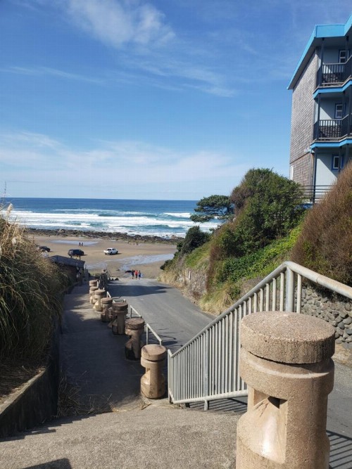 Seagull Beachfront Inn - image 7