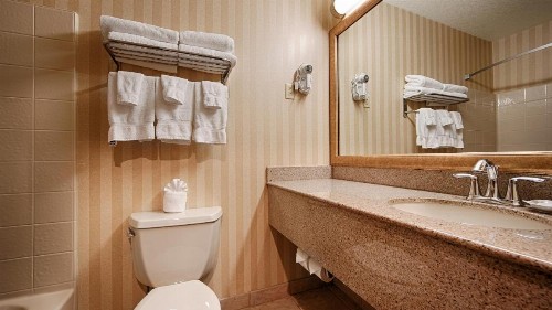Best Western Plus Landmark Inn - image 30