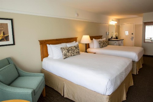 Looking Glass Inn - image 5