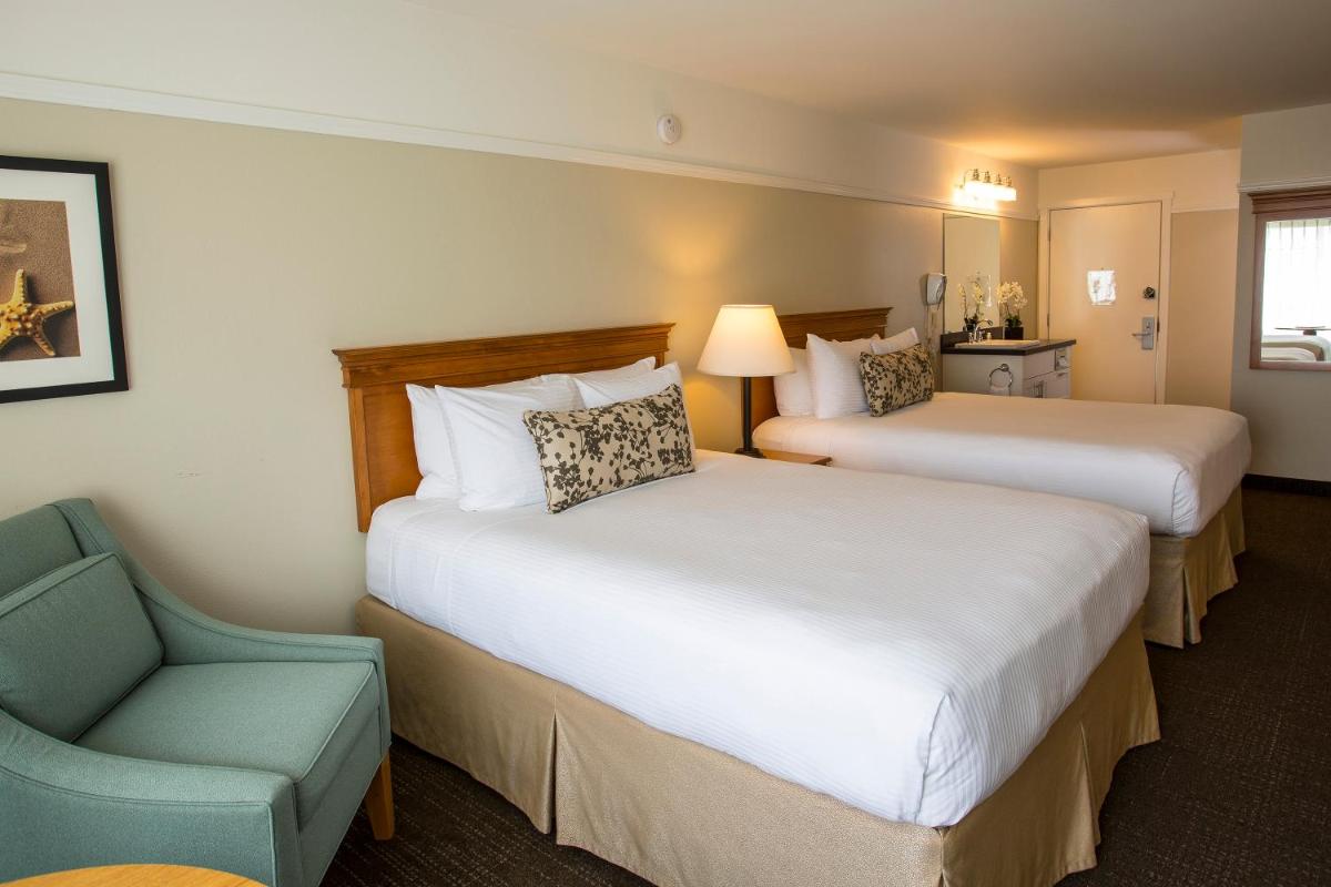 Looking Glass Inn - image 5