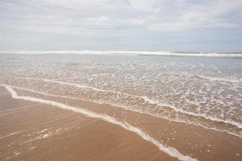 Shearwater Inn - image 12
