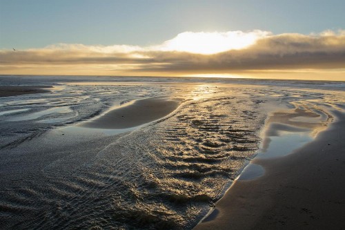 Shearwater Inn - image 28