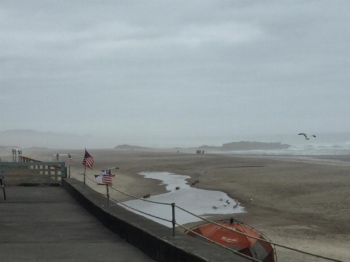 Sandcastle Beachfront Motel - image 12