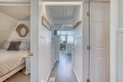 Sand Dollar - image 27