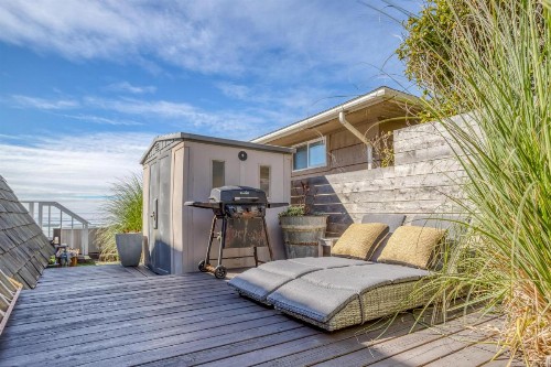 Sand Dollar - image 30