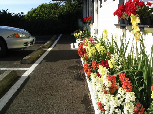 Captain Cook Inn - image 23
