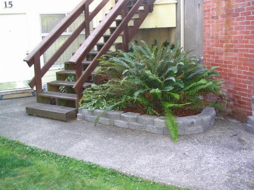 Captain Cook Inn - image 3