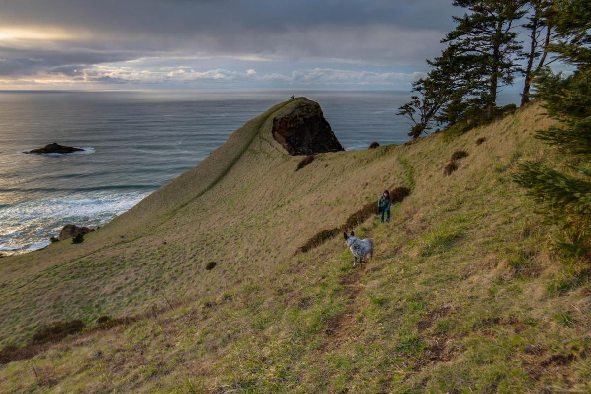 Annie's Windsong - image 7