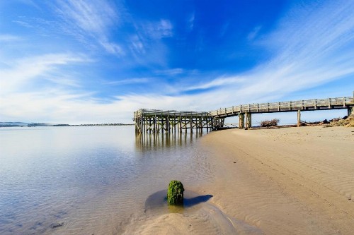Captain Bill's Beachhouse - image 2