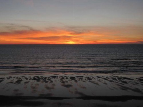 Sea Amor - image 4