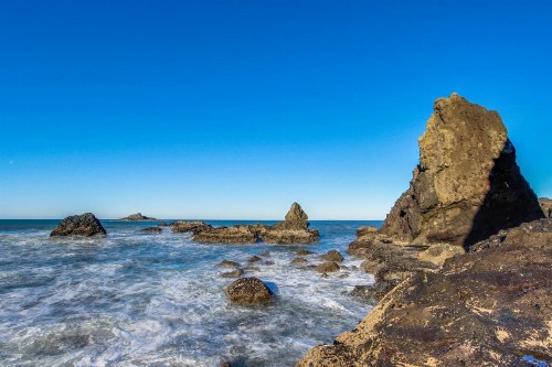 The Lucky Starfish - image 9