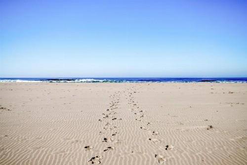 DaySea Cottage - image 32