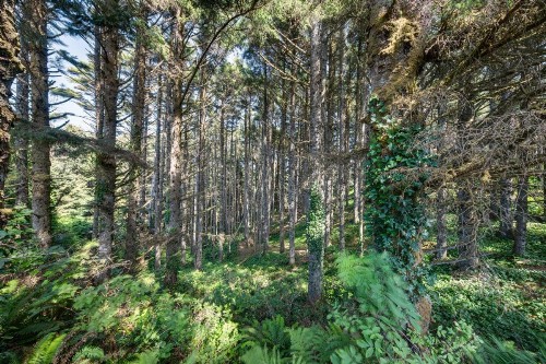 ALSO Beach House - image 10