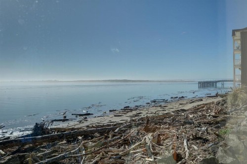 Dock Of The Bay #203 - image 2
