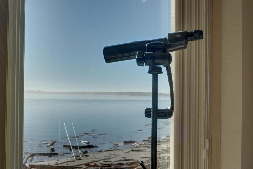 Dock Of The Bay #203 - image 4