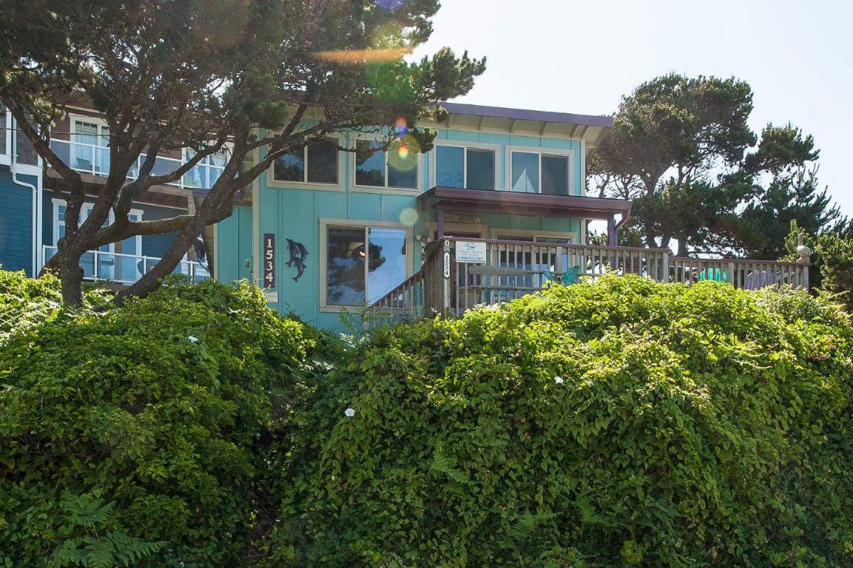 Sea Daze - image 4