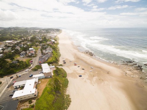 The White Turtle - image 10
