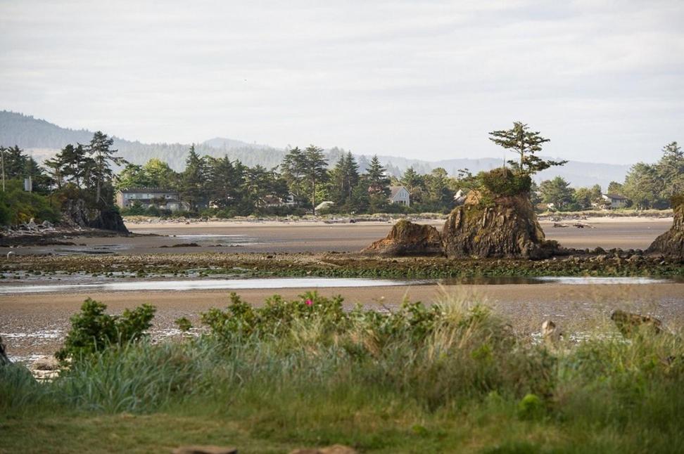 Waters Edge 312 - image 2