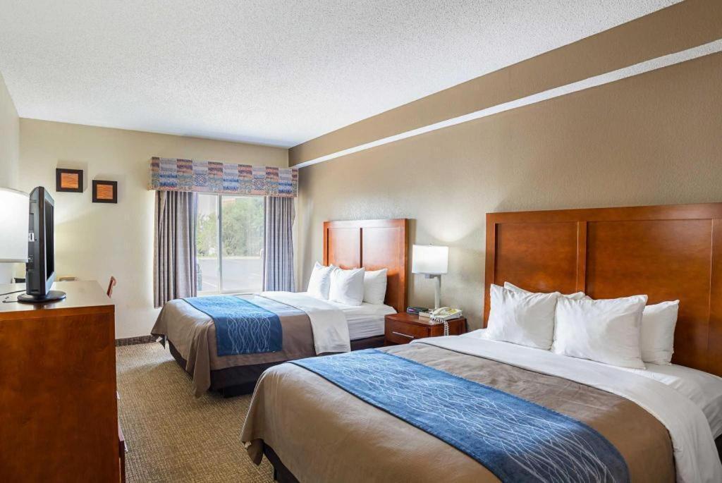Comfort Inn Lincoln I-80 - image 6
