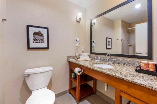 Comfort Suites Lincoln East - image 2