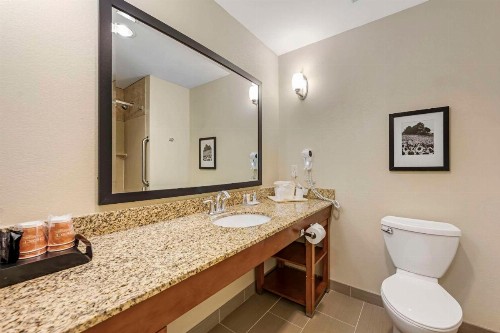 Comfort Suites Lincoln East - image 27